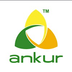 Ankur Scientific Energy logo